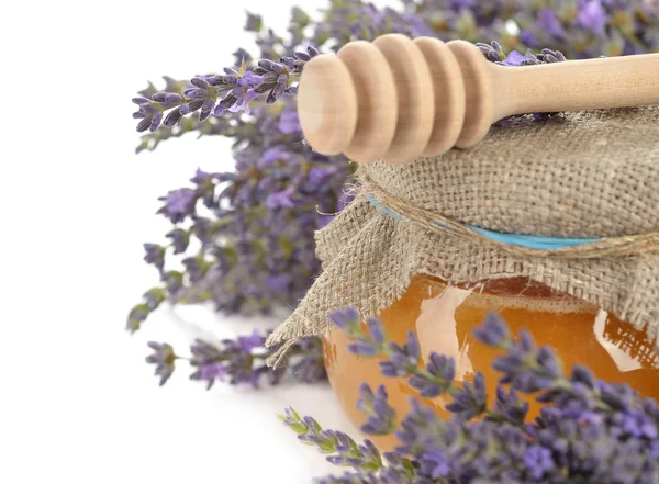 Lavender honey close up — Stock Photo, Image