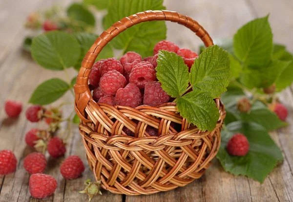 Fresh raspberries in a basket — Stock Photo, Image