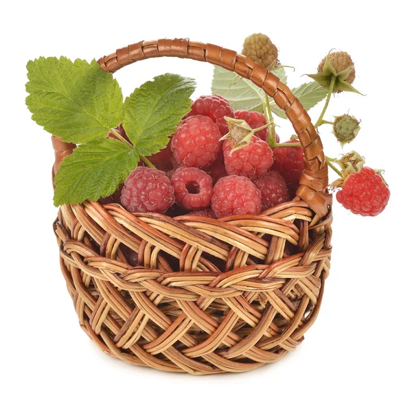 Frische Himbeeren im Korb — Stockfoto