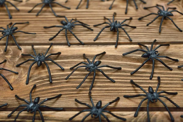 Schwarze Spinne aus nächster Nähe — Stockfoto