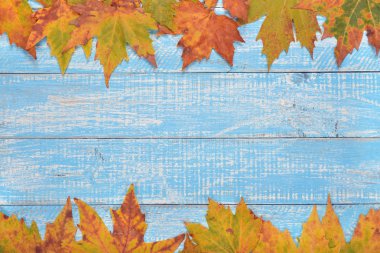 Sonbahar yaprakları kapanıyor