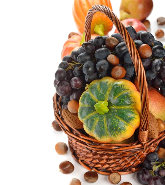 Autumn harvest in a basket — Stock Photo, Image
