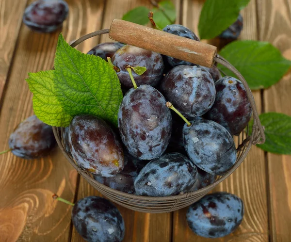 Fresh plums in a basket — Stock Photo, Image