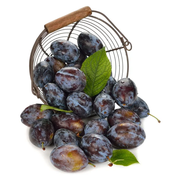 Fresh plums in a basket — Stock Photo, Image