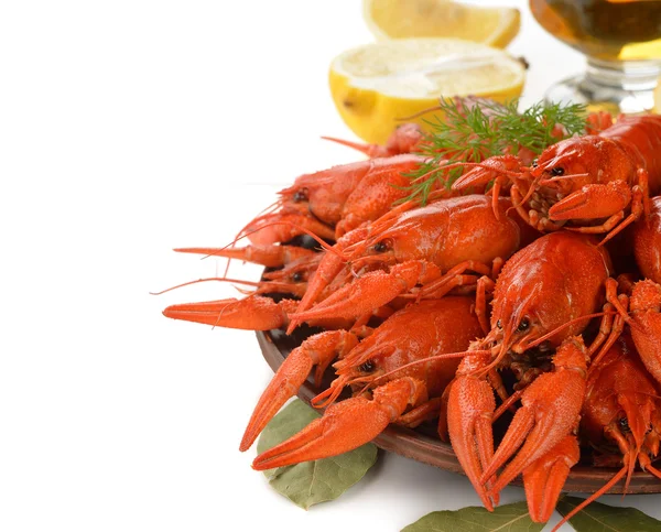 Boiled crayfish — Stock Photo, Image