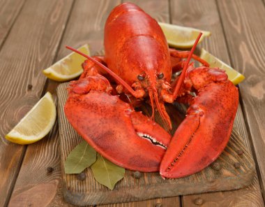 haşlanmış ıstakoz