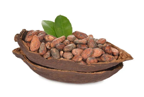 Granos de cacao naturales — Foto de Stock