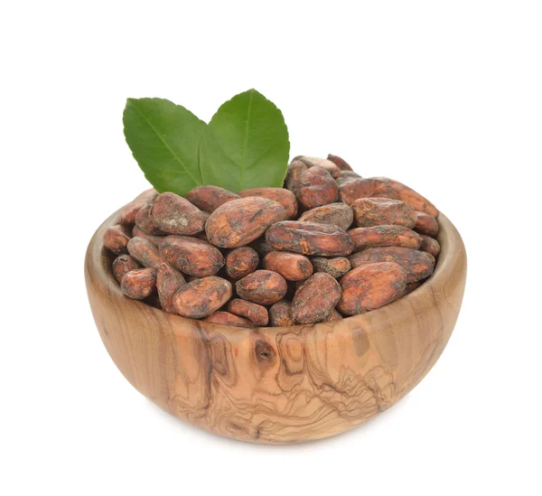 Granos de cacao naturales — Foto de Stock