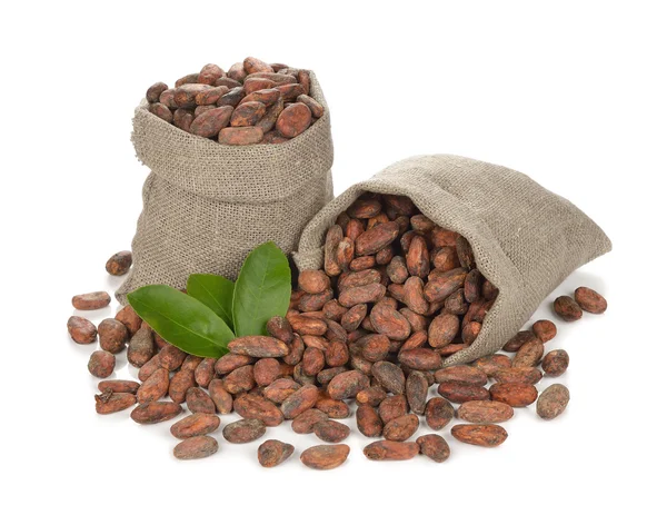 Frijoles de cacao en una bolsa — Foto de Stock