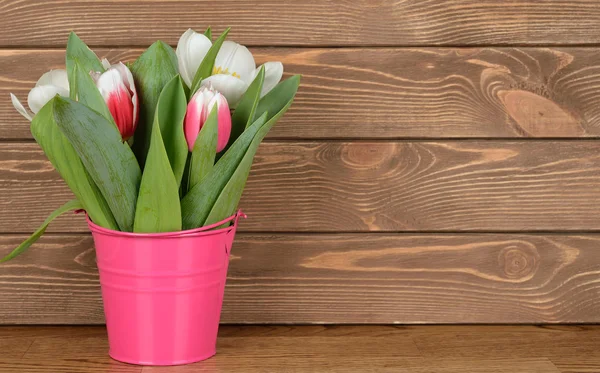 Tulips in pink bucket — Stock Photo, Image