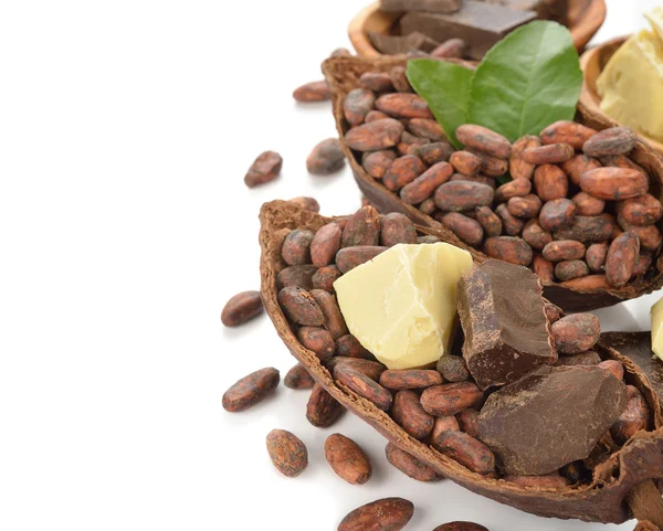 Fagioli di cacao, burro di cacao e pasta di cacao — Foto Stock