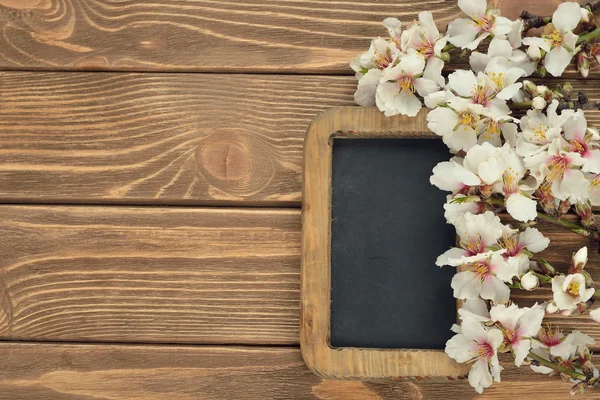 Blossoming twigs — Stock Photo, Image