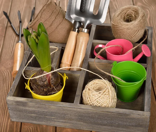 Garden tools — Stock Photo, Image