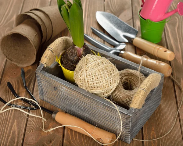 Garden tools — Stock Photo, Image