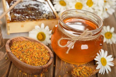 Tatlım, papatya ve polen