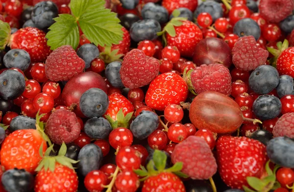 Lebensmittel-Hintergrund — Stockfoto