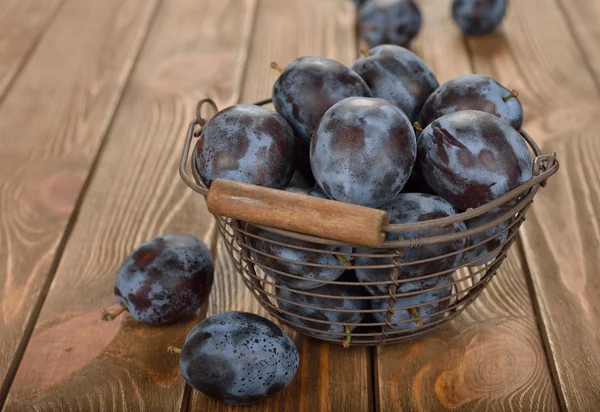 Taze kuru erik — Stok fotoğraf