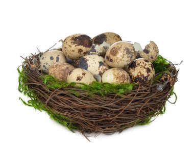 bıldırcın yumurtası