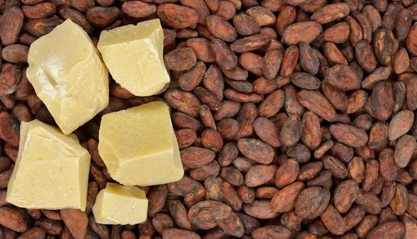 Органическое масло какао — стоковое фото