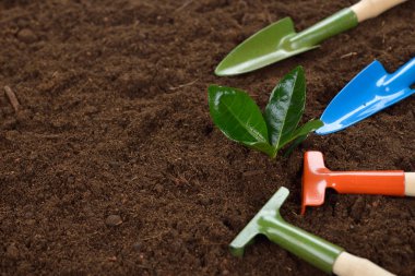 Bahçe aletleri yakın çekim