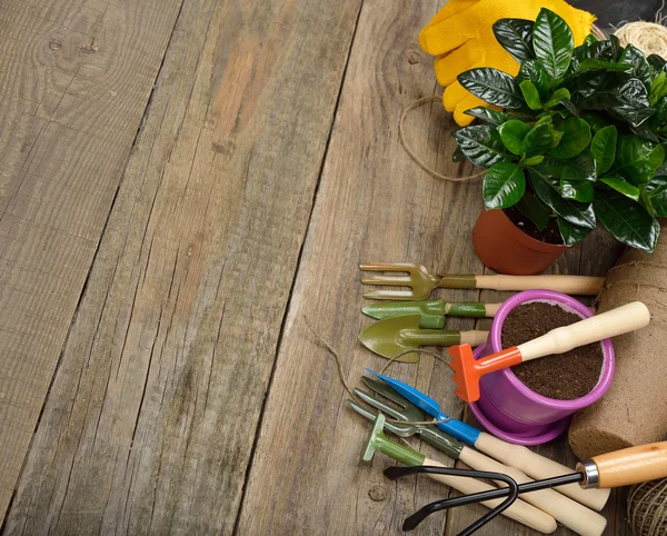 Garden tools close up — Stock Photo, Image