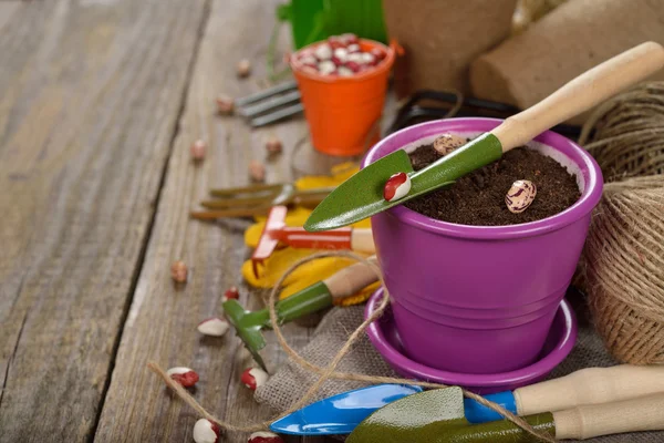 Vari attrezzi da giardino — Foto Stock