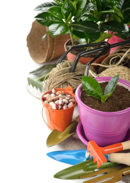 Garden tools close up — Stock Photo, Image