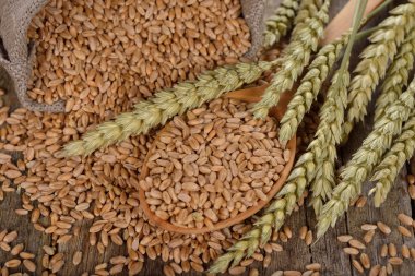 Organik buğday yakın çekim