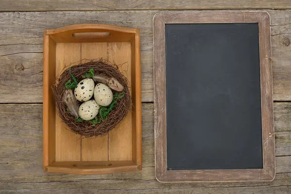 Eieren in een nest — Stockfoto