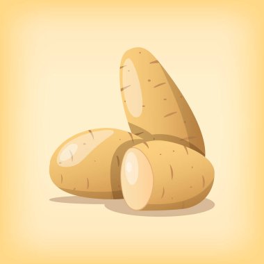 Patatesler sağlıklı bitkisel diyet besin kökü ve gerçekçi renk düz stil vektör tasarımı çizimi