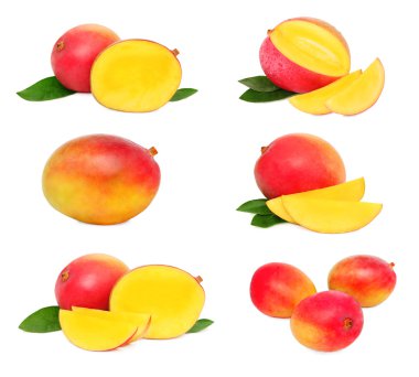 Set bütün ve dilimlenmiş mango (izole)