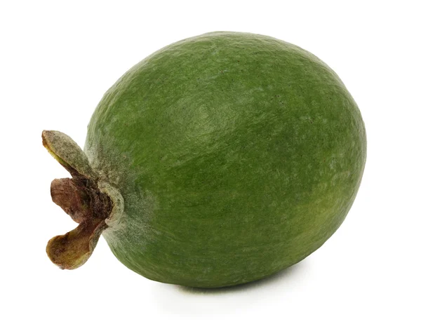 En helt mogen feijoa (isolerad) — Stockfoto