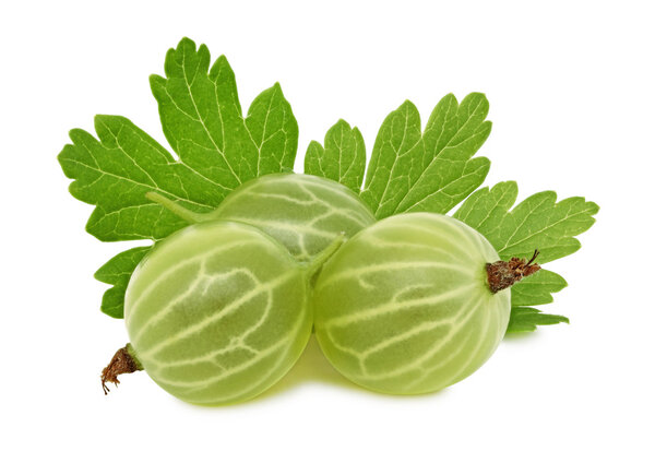Ripe green gooseberry with green leaves (isolated)