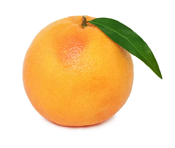 Één geheel rijp grapefruit met groen blad (geïsoleerd) — Stockfoto