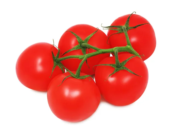 Dojrzałe pomidory czerwone na zielonych gałęzi (na białym tle) — Zdjęcie stockowe