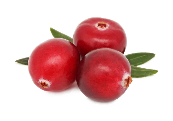 Three ripe cranberries with green leaves (isolated) — Stock Photo, Image