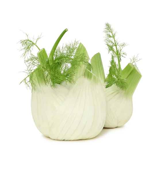 Zwei reife Fenchel (isoliert) — Stockfoto