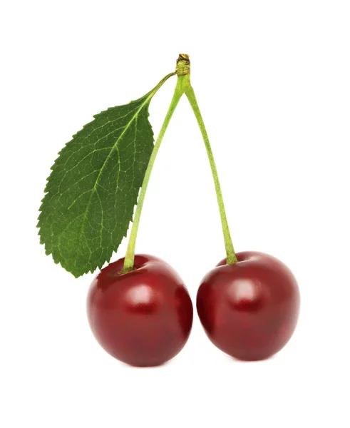 Two ripe cherry with green leaf (isolated) — Stock Photo, Image