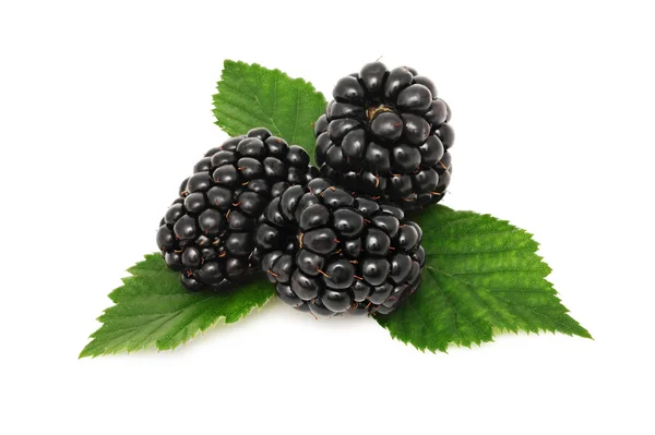 Ripe blackberry with green leaves (isolated) — Stock Photo, Image