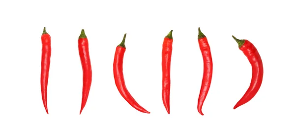 Chiles rojos sobre fondo blanco sin sombras —  Fotos de Stock