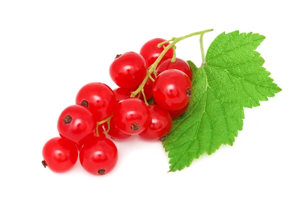 Ripe redcurrant with green leaf (isolated) — Stock Photo, Image