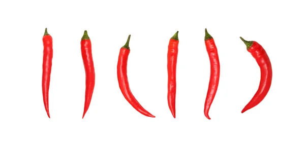 Červené chilli papričky na bílém pozadí bez stínů Royalty Free Stock Fotografie