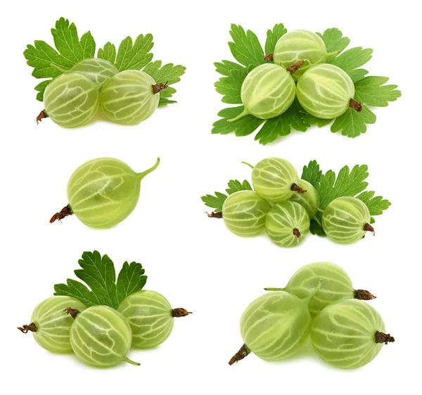 Set ripe green gooseberries with leaves (isolated) — Stock fotografie