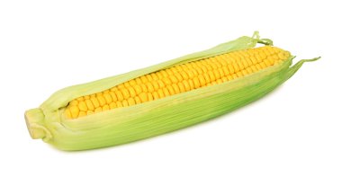 (İzole yeşil yaprakları ile bir ham Mısır)