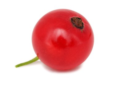 Yakın çekim görünümü (izole bir somun Berry)