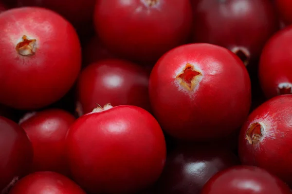 Close-up view on pile of cranberry — Stock Photo, Image