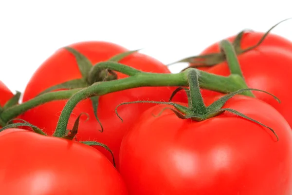 Widok z bliska oddziału dojrzałe pomidory (na białym tle) — Zdjęcie stockowe