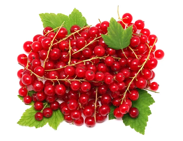 Pile of ripe redcurrant berries on green leaves (isolated) — Stock Photo, Image