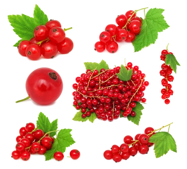 Set ripe redcurrant berries with green leaves (isolated) — Stock Photo, Image