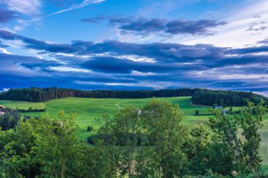Alpe di Siusi, Seiser Alm ve Sassolungo Langkofel Dolomite. Arkasında ağaçlar olan büyük yeşil bir alan.